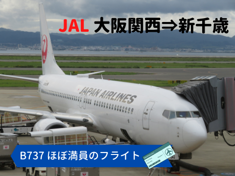 搭乗記 Jal 37 800に搭乗 大阪関西 新千歳 久しぶりのほぼ満員のフライト なるがままnarugamama